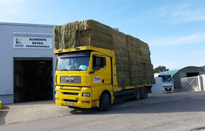 Multari partenaire de Transport et négoce Trabaud vente et transport de foin de Crau à St Andiol 13 PACA