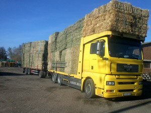 Produits de Transport et négoce Trabaud vente et transport de foin de Crau à St Andiol 13 PACA